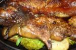 Guinea Pig Dinner-2